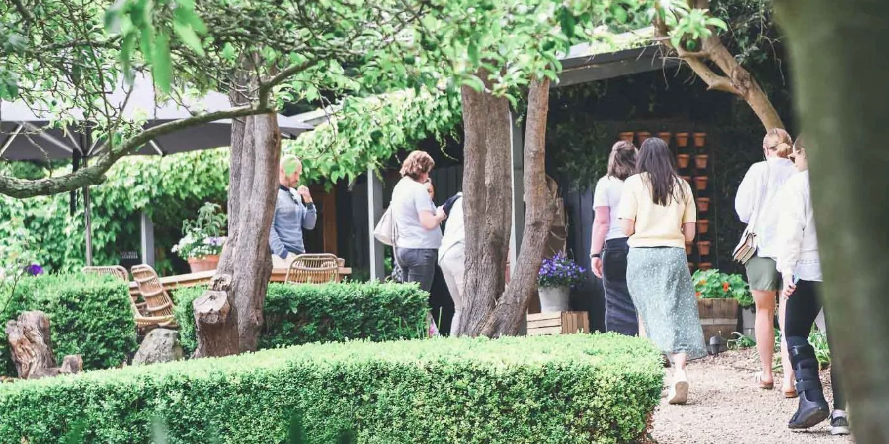 Red Hill Lavender Farm Cafe Main Ridge Mornington Peninsula