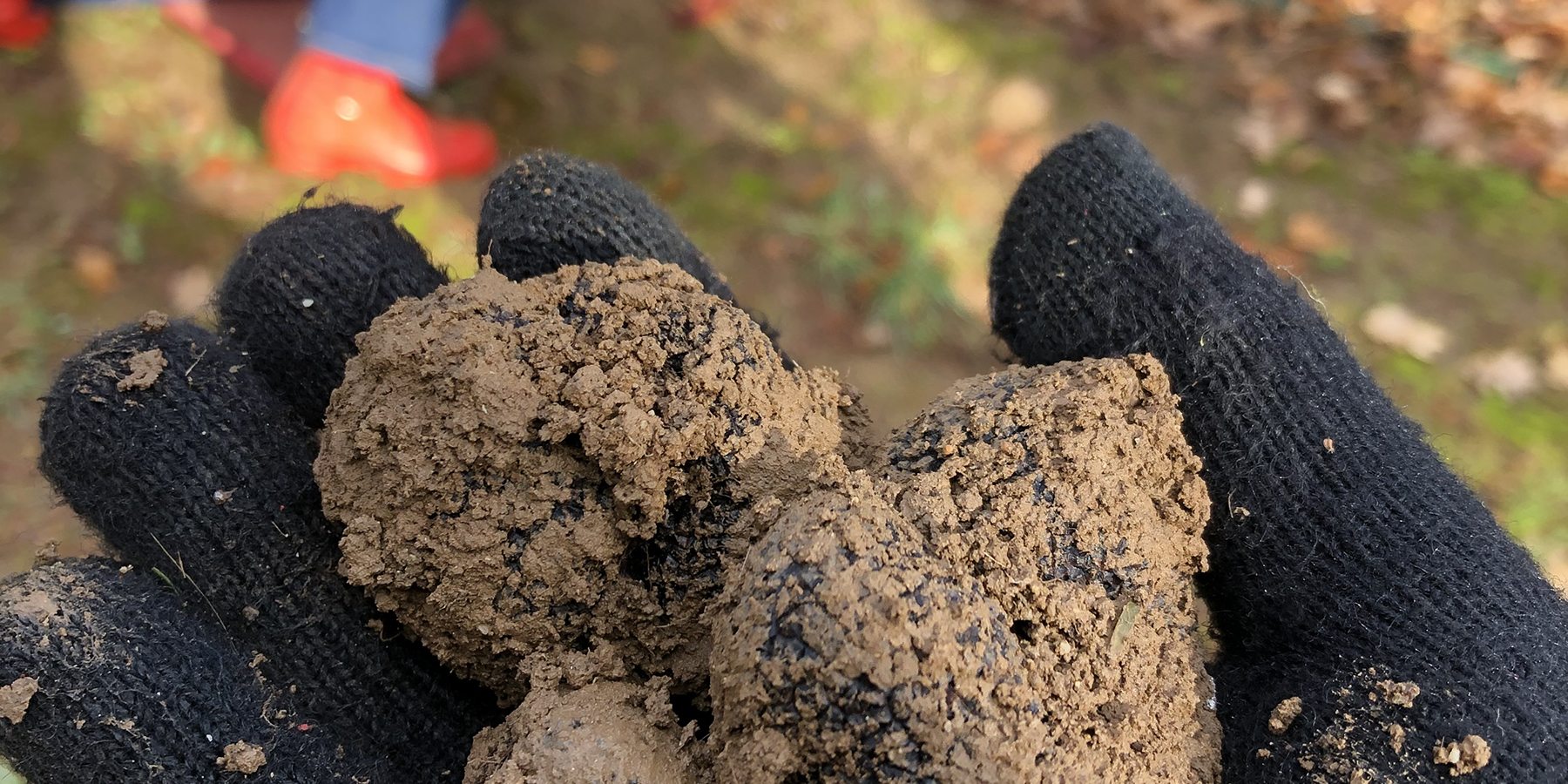 Truffles, Winter, Mornington Peninsula