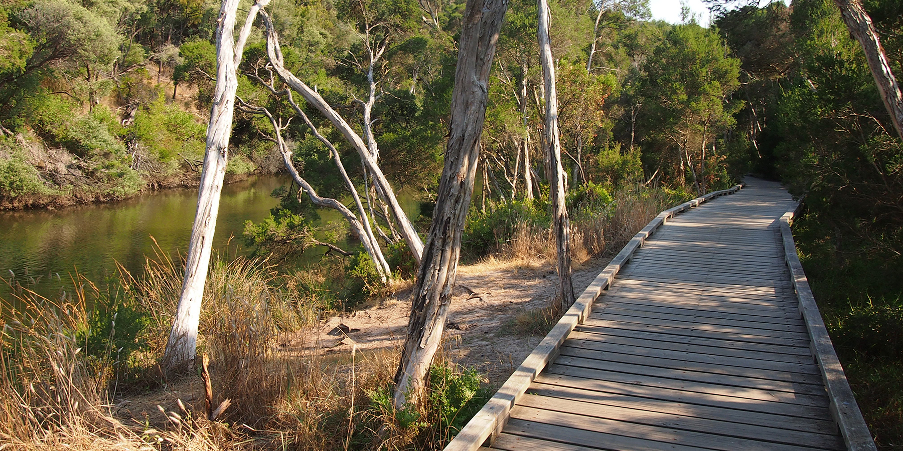 Balcombe Estuary, Mornington Peninsula