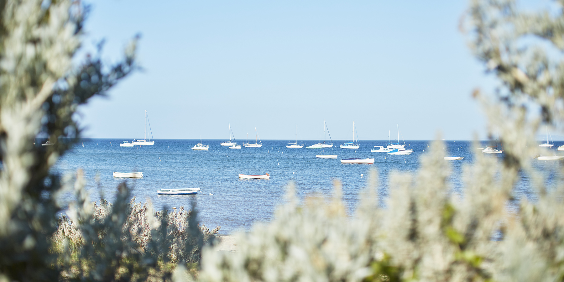 The Bay Trail, Mornington Peninsula