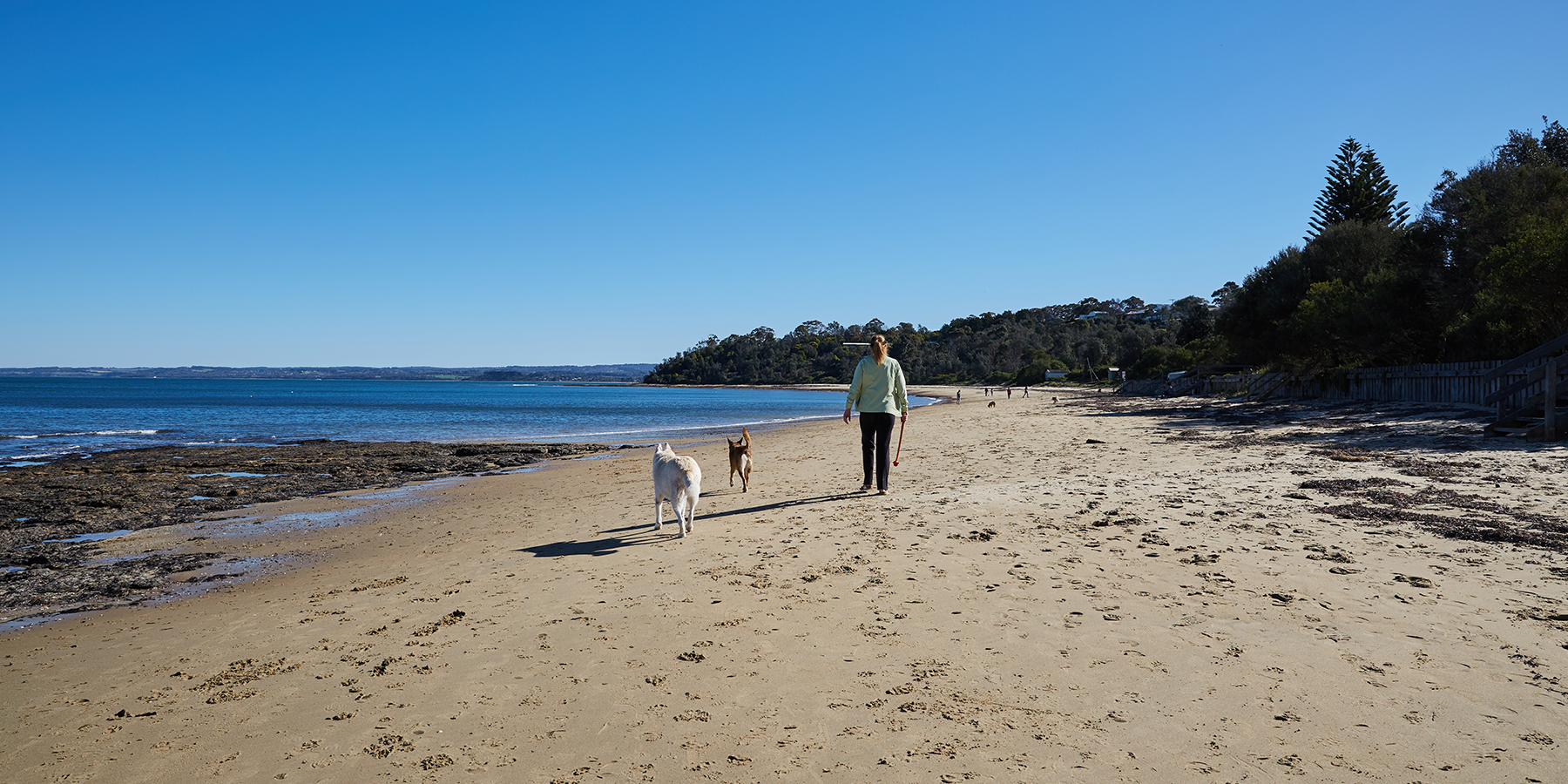 Somers Dog Beach, Mornington Peninsula