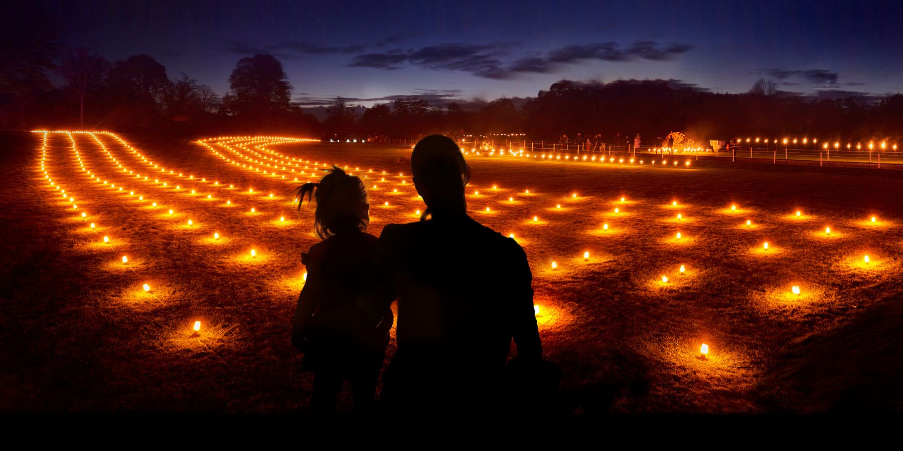 Lightfall Royal Botanical Gardens Cranbourne Event Autumn