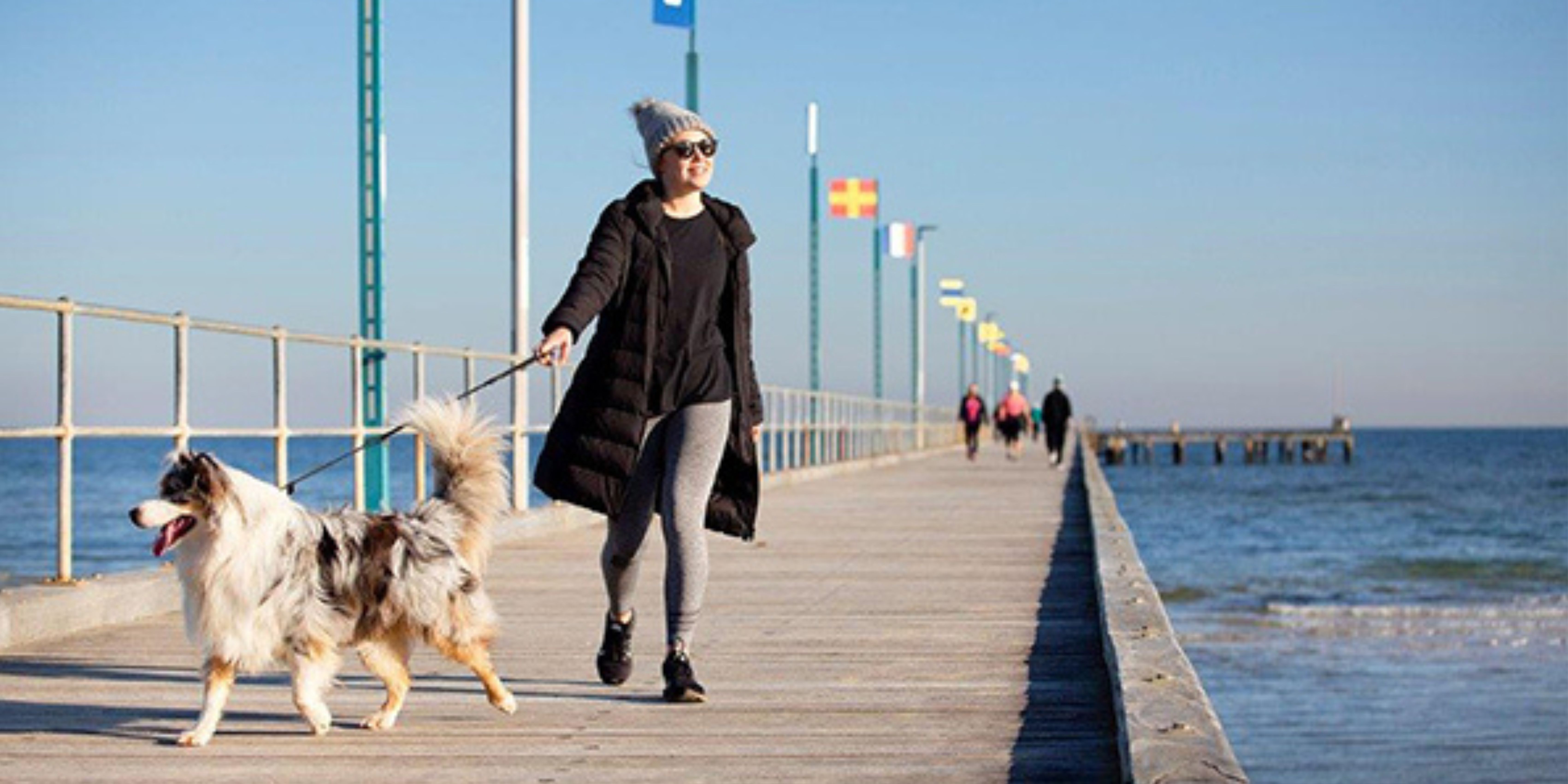 are dogs allowed at frankston beach